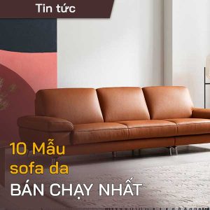 10 mau sofa da ban chay