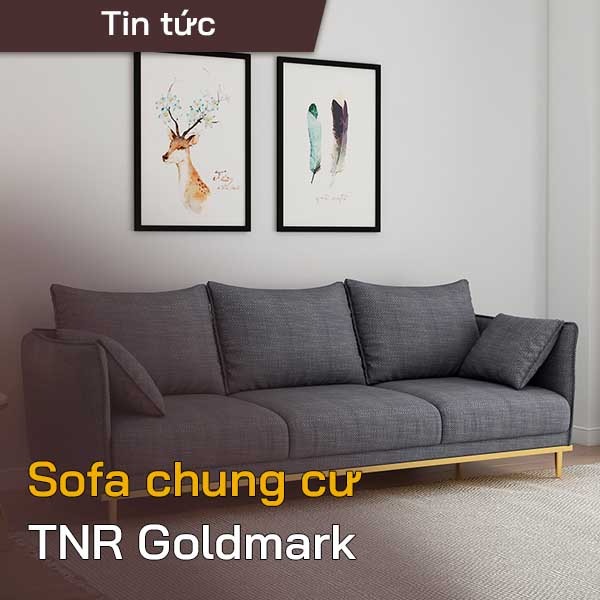 Chung cư TNR gold mark