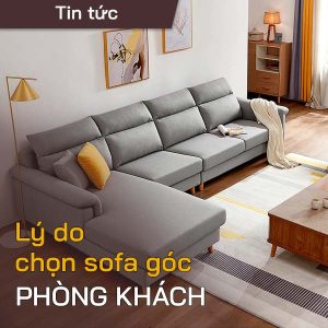 Ly do chon sofa goc