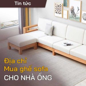 ia chi mua sofa cho nha ong