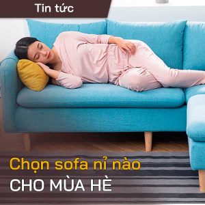 mua sofa ni cho mua he